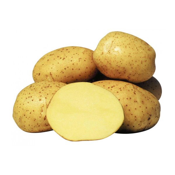 Картофель семенной 2кг сорт Колетте 