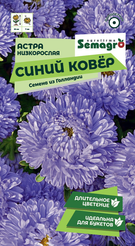 Семена Астра низкорослая Синий ковер