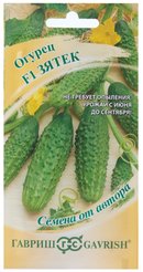Семена Огурец Зятек F1