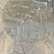 Бордюр настенный Albero Folglie 50,5x6,2см, шт 