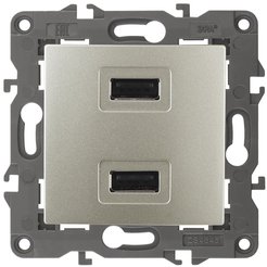 Розетка д/зарядки USB шампань