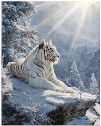 Картина стекло Тигр в снегах 40х50см