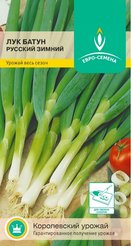 Семена Лук Русский зимний батун цв/п 1г