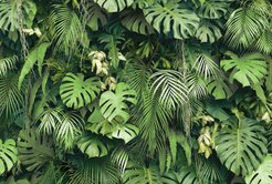 Фотообои виниловые на флизелиновой основе Фитостена 400х270см