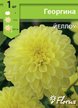 Клубень Георгина декоративная Йеллоу 1шт