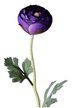 Цветок искусственный Lefard Ранункулюс фиолетовый 49см 