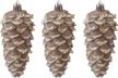 Набор украшений Шишки 3шт 12х5см шампань, SYQD1-0124242 Набор украшений Шишки 3шт 12х5см шампань, SYQD1-0124242