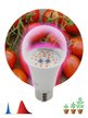 Лампа светодиодная для растений ЭРА FITO 10 ВТ Е27 красно-синего спектра