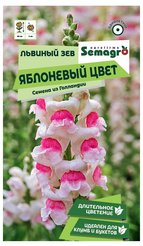 Семена Львиный Зев Яблоневый цвет 