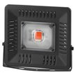 Прожектор для растений РОСТ ЭРА FITO 50W LED BLUERED