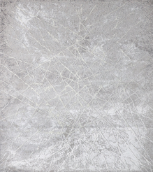 Ковер Sirius 80085 a1 1,6х2,3м