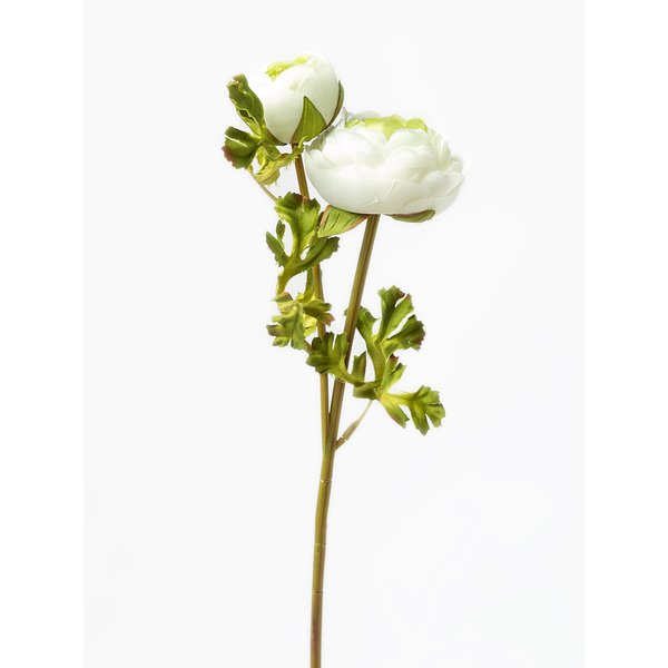 Цветок Ranunculus Bowd Floox 15х7,5х50см комбинированные материалы белый